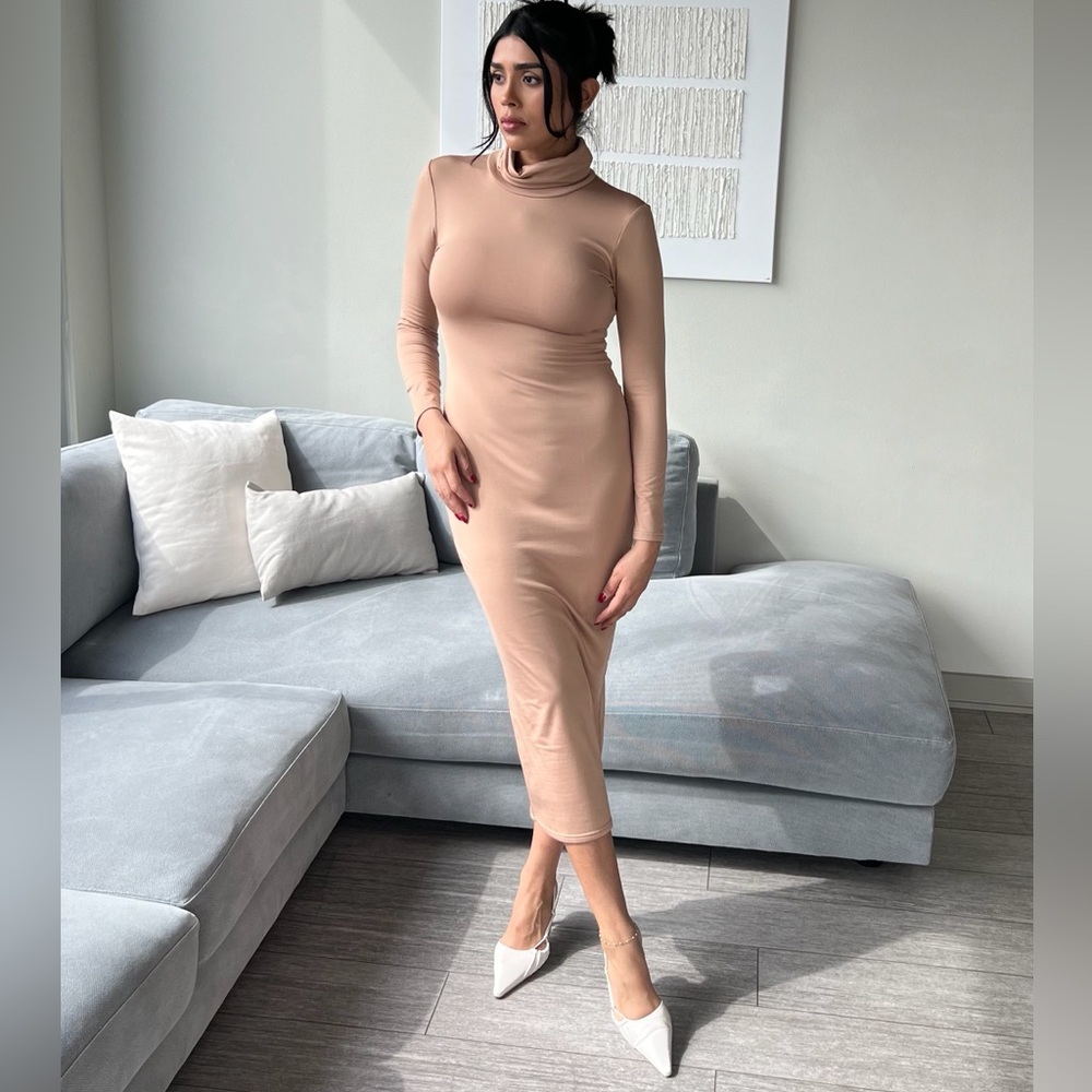 Long sleeve, turtle neck warm lined dress